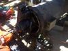 BLJ In-situ Solutions flange facing machine onsite flange machining